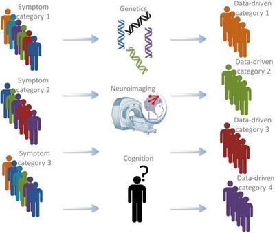 The Empathic Brain of Psychopaths: From Social Science to Neuroscience in Empathy